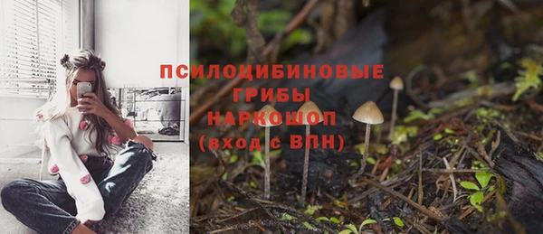 mix Баксан