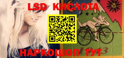 крисы Кингисепп