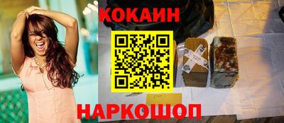 крисы Кингисепп