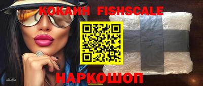крисы Кингисепп