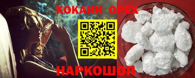 крисы Кингисепп