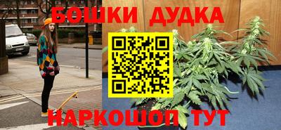 крисы Кингисепп