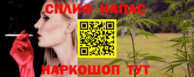 крисы Кингисепп