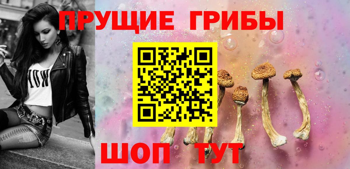 Псилоцибиновые грибы Cubensis Лянтор
