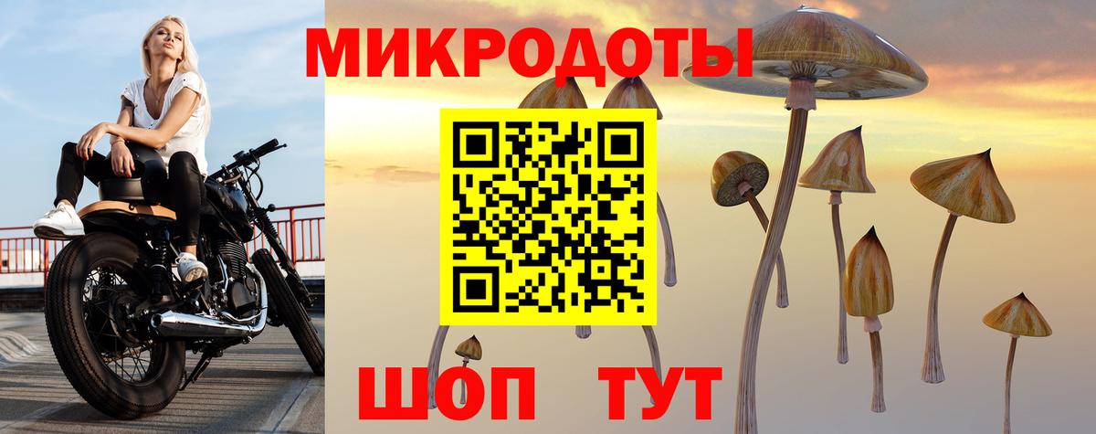Псилоцибиновые грибы Psilocybe  Вход с VPN  Лянтор 